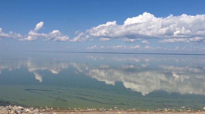 Manitoba - Boat License Dauphin Lake